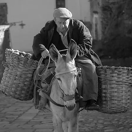 Palazzo Dei Poeti Hotel