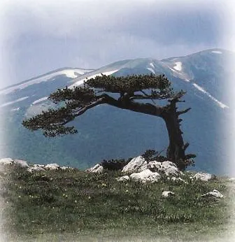 Palazzo Dei Poeti Hotel Tursi